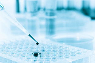 生物化工領域新風向 精密儀器驅動技術創新與產業升級